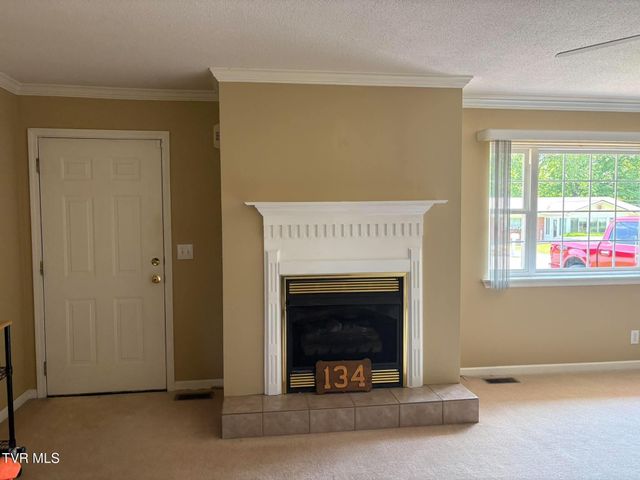 134 Briarwood Drive, Gray, TN 37615