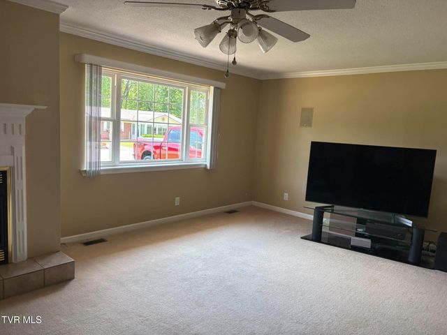 134 Briarwood Drive, Gray, TN 37615