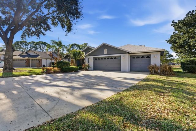 3916 CEDAR CAY CIRCLE, Valrico, FL 33596