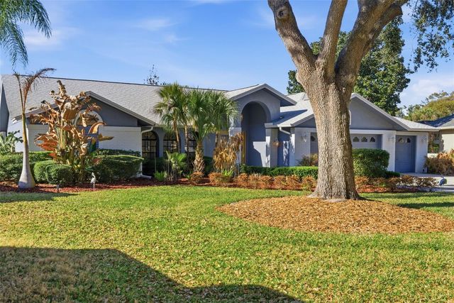 3916 CEDAR CAY CIRCLE, Valrico, FL 33596