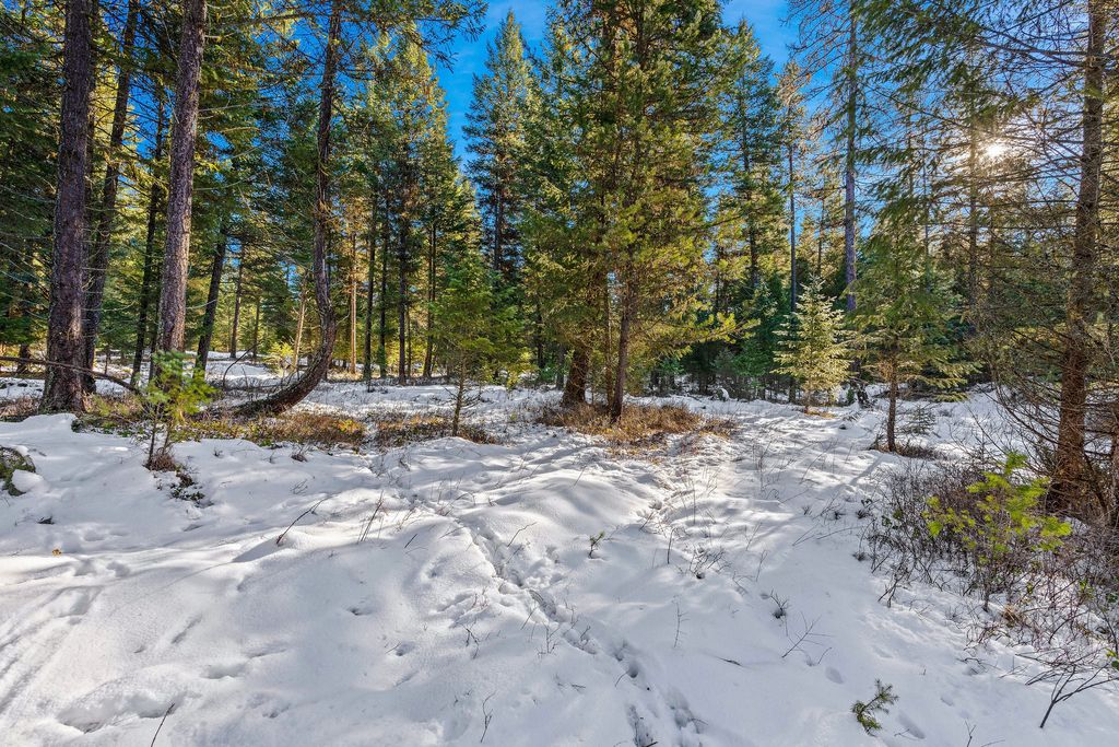 1673 Whitefish Hills Drive, Whitefish, MT 59937 photo 14