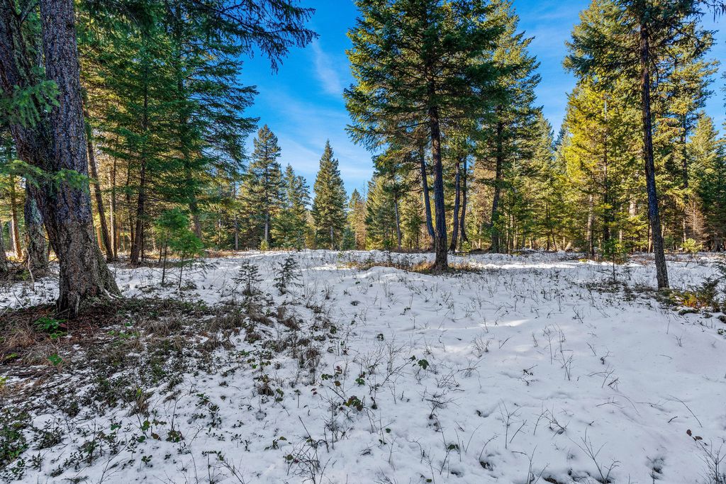 1673 Whitefish Hills Drive, Whitefish, MT 59937 photo 16