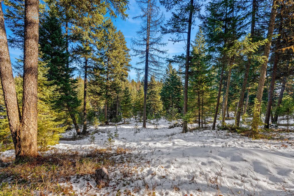 1673 Whitefish Hills Drive, Whitefish, MT 59937 photo 17