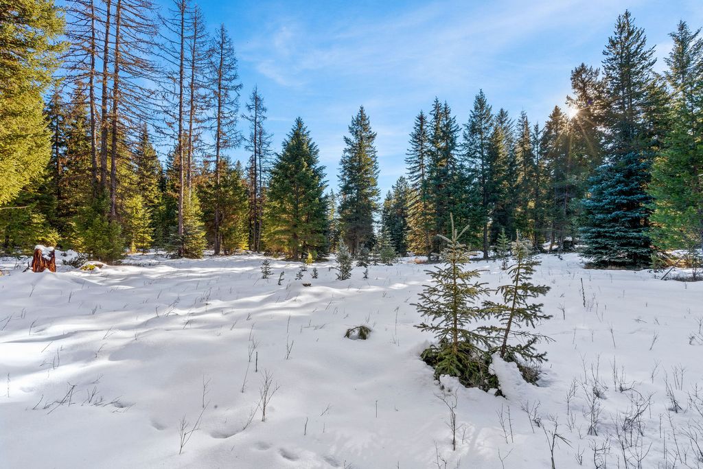 1673 Whitefish Hills Drive, Whitefish, MT 59937 photo 19