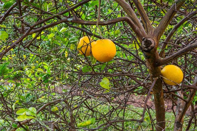 1901 Country Club Prado, Coral Gables, FL 33134