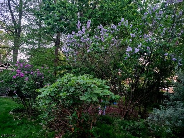 7 Squire Ln, Wayne Twp., NJ 07470