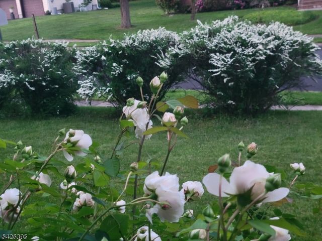 7 Squire Ln, Wayne Twp., NJ 07470