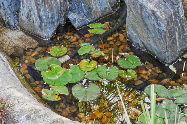 30 Rollingwood Dr, San Rafael, CA 94901