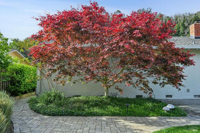 30 Rollingwood Dr, San Rafael, CA 94901