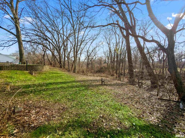 2024 W NEWMAN Parkway, Peoria, IL 61604