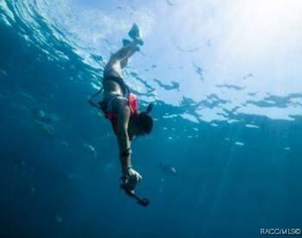 4 Cyclamen Court, Homosassa, FL 34446