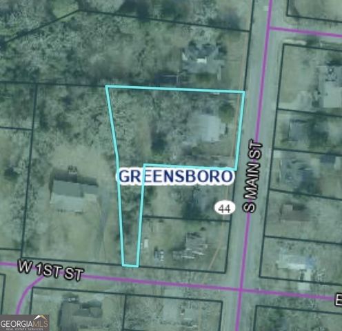 403 S Main Street, Greensboro, GA 30642