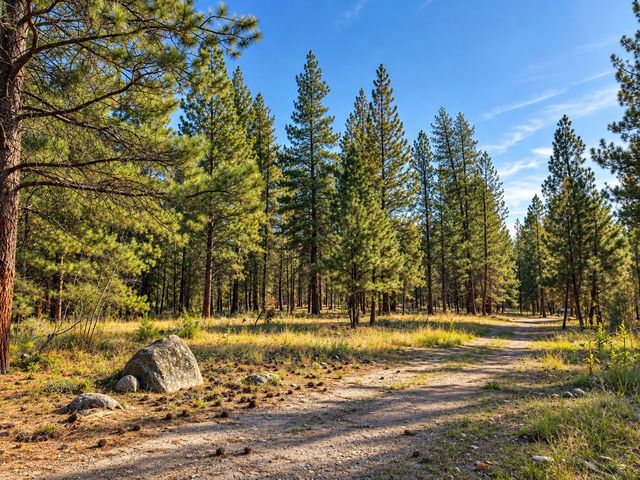 NHN Holloway Lane, Florence, MT 59833 property photo