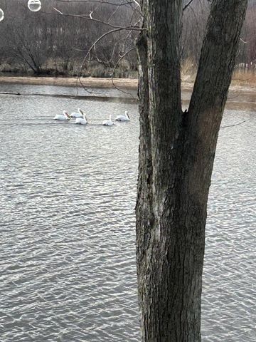 N3789 Tipperary Road, Poynette, WI 53955