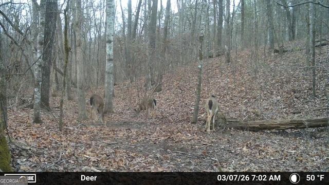 733 Cherry Road, Franklin, GA 30217