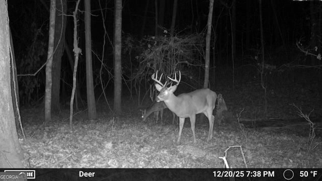 733 Cherry Road, Franklin, GA 30217