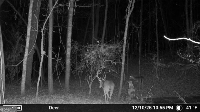 733 Cherry Road, Franklin, GA 30217