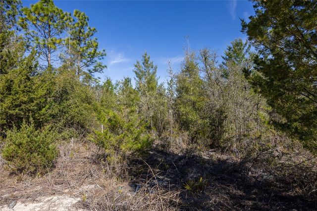 000 NE 64TH PLACE, Williston, FL 32696