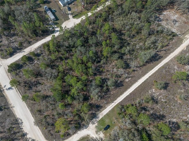 000 NE 64TH PLACE, Williston, FL 32696