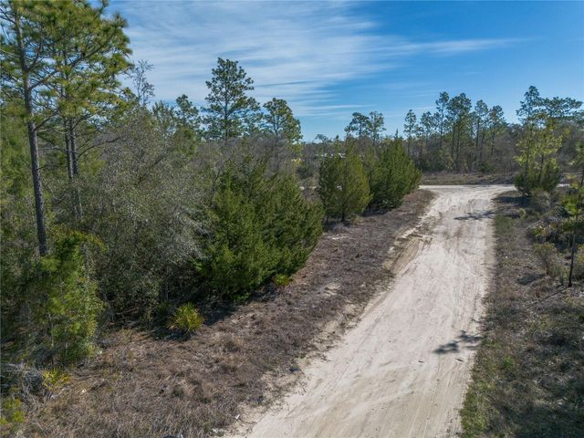 000 NE 64TH PLACE, Williston, FL 32696