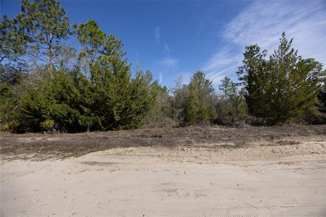 000 NE 64TH PLACE, Williston, FL 32696