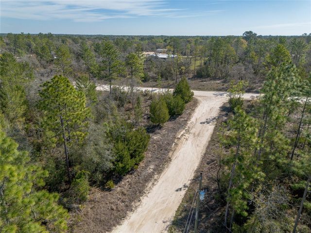 000 NE 64TH PLACE, Williston, FL 32696