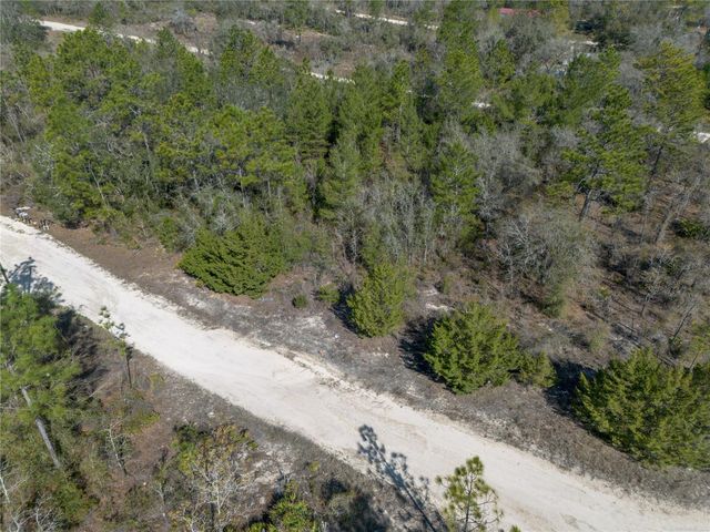 000 NE 64TH PLACE, Williston, FL 32696