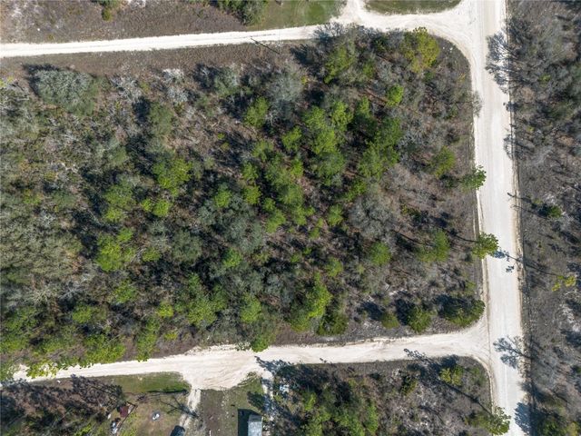 000 NE 64TH PLACE, Williston, FL 32696