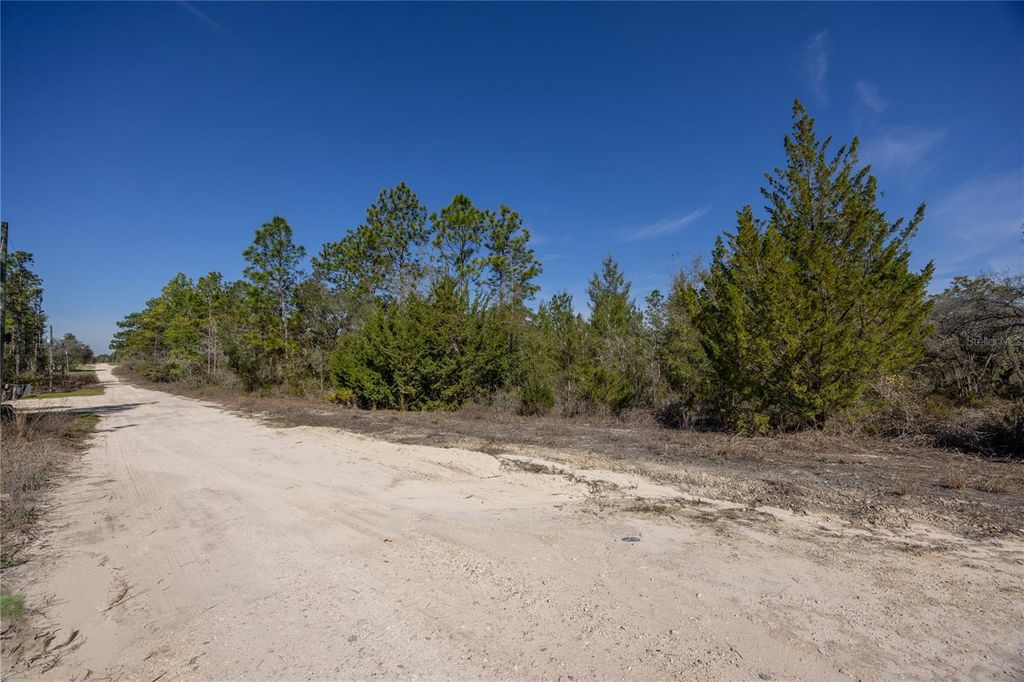 000 NE 64TH PLACE, Williston, FL 32696