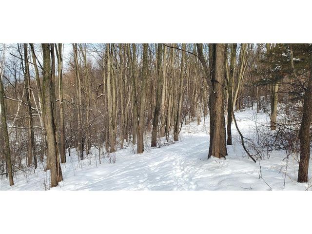10 Acres Highland View, Houlton, WI 54082