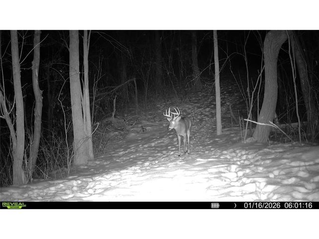 10 Acres Highland View, Houlton, WI 54082