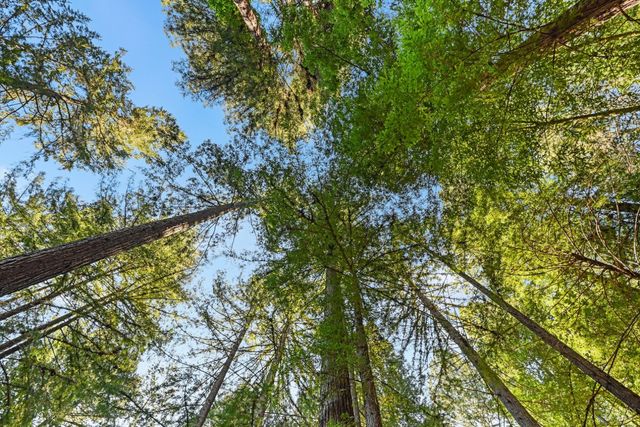 9 Huckleberry Hts, Cazadero, CA 95421