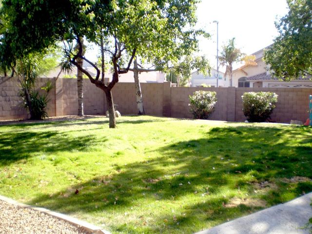 2429 E Patrick Lane, Phoenix, AZ 85024