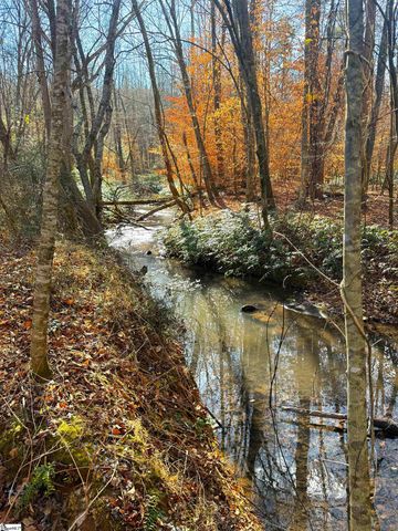 1010 Highway 14 W, Landrum, SC 29356