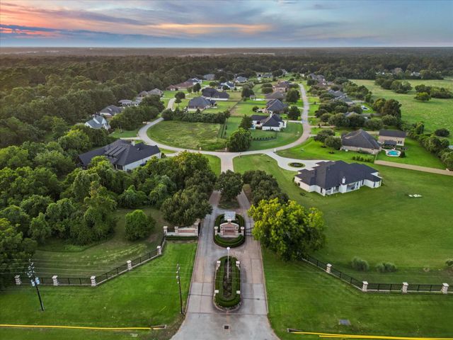 19314 Chateau Ridge Court, Tomball, TX 77377