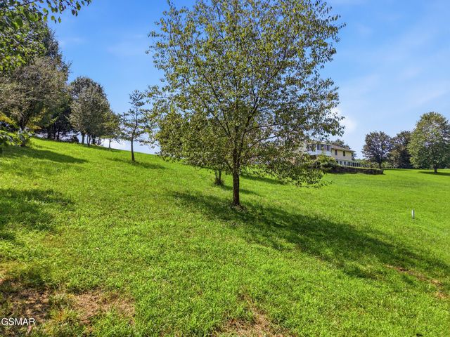 47 River Cliff Drive, Kodak, TN 37764
