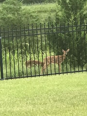 1311 S Monument Cir, Wichita, KS 67235