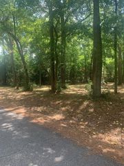 TBD 13 Sweet Gum Lane, Livingston, TX 77351