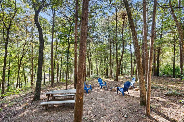 53 64 75 Pawpaw Bend Road, Morrilton, AR 72110