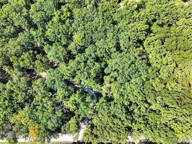 29129 Pinnacle Lake Road, New Florence, MO 63363