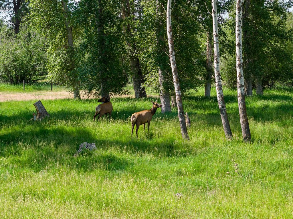 81 and 83 Bell Crossing W, Stevensville, MT 59870 photo 70