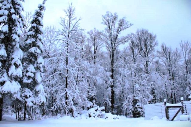 N10660 TOWER ROAD, Phillips, WI 54555