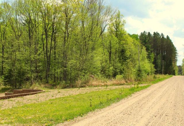 N10660 TOWER ROAD, Phillips, WI 54555