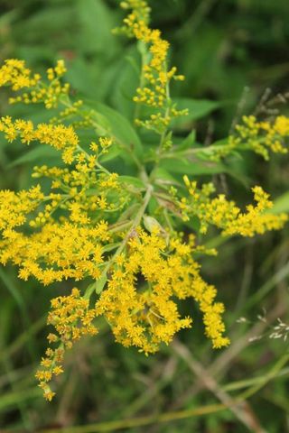 N10660 TOWER ROAD, Phillips, WI 54555