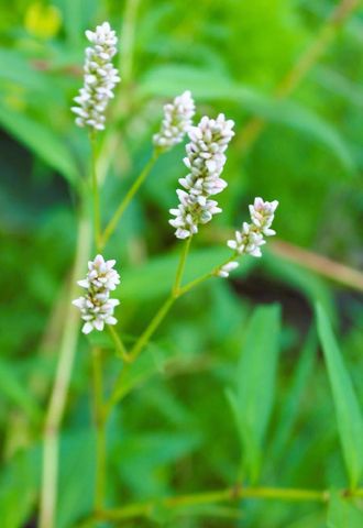 N10660 TOWER ROAD, Phillips, WI 54555