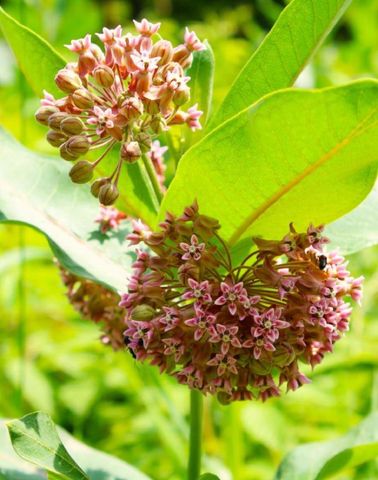 N10660 TOWER ROAD, Phillips, WI 54555