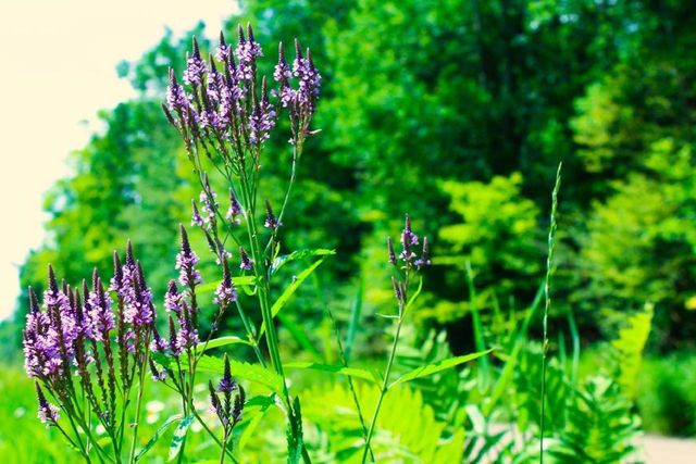 N10660 TOWER ROAD, Phillips, WI 54555