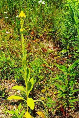 N10660 TOWER ROAD, Phillips, WI 54555