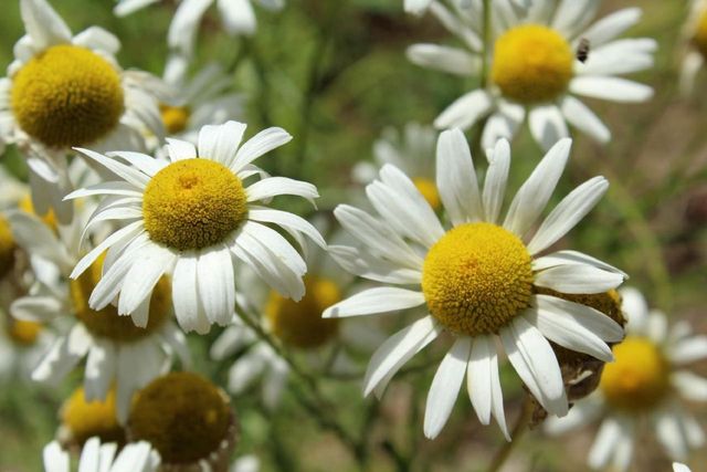 N10660 TOWER ROAD, Phillips, WI 54555