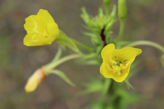 N10660 TOWER ROAD, Phillips, WI 54555